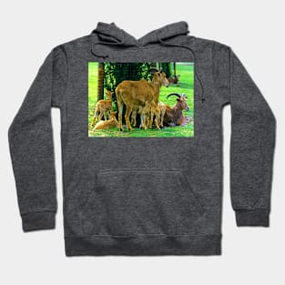 Billy Goats Gruff Hoodie